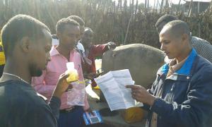 Ethiopia: water quality testing in Sheno, Oromia