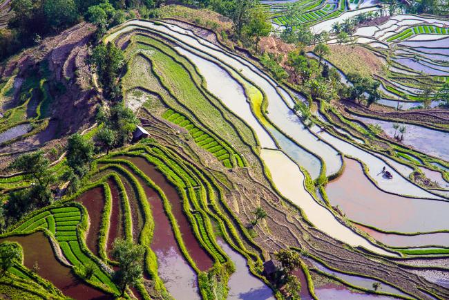 Pathways to change. Rice terraces, Yunna, China. Photo: Hoang Giang Hai (CC BY 2.0)