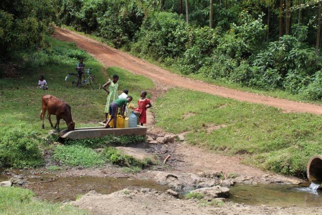 Fetching water from a water resource near the river Mpanga which is also used by cattle