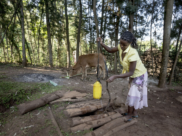 Woman lifting water from well. Photo by Petterik Wiggers Panos Pictures UK